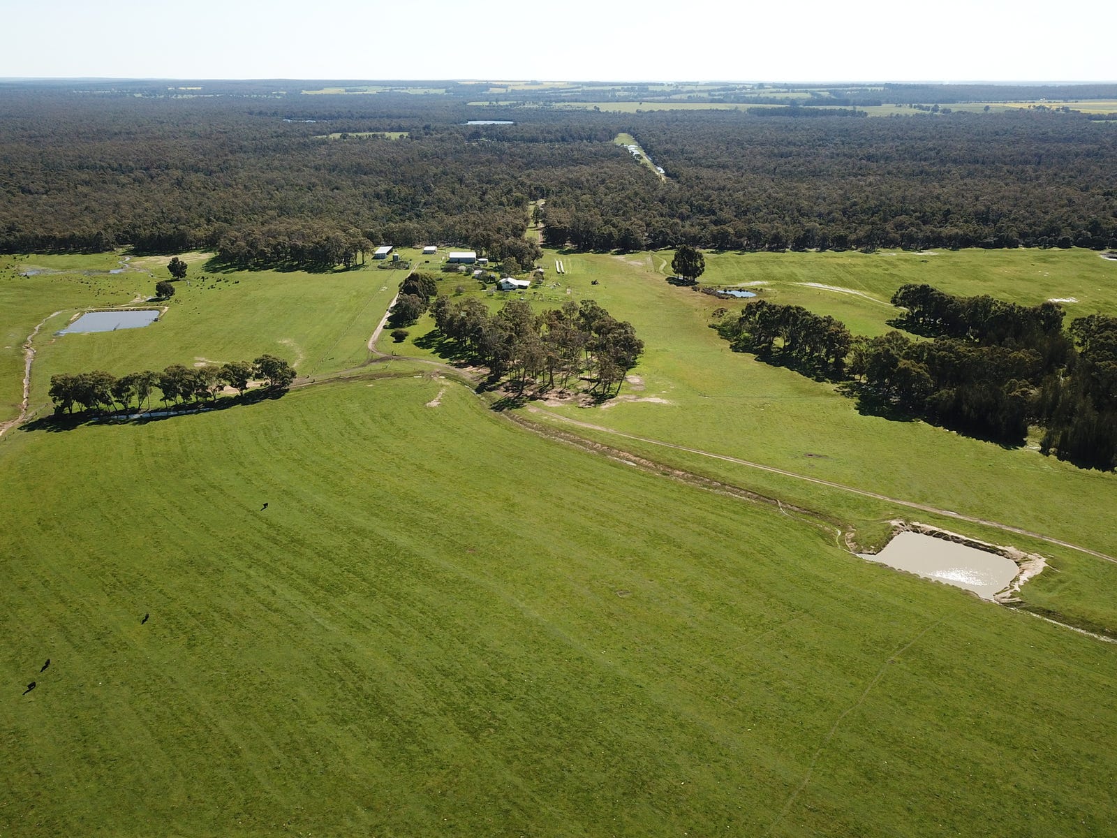 Farm For Sale in Frankland River, WA 6396 314 Yarnup Road