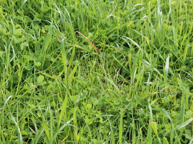 Business For Sale: Keith, SA 5267