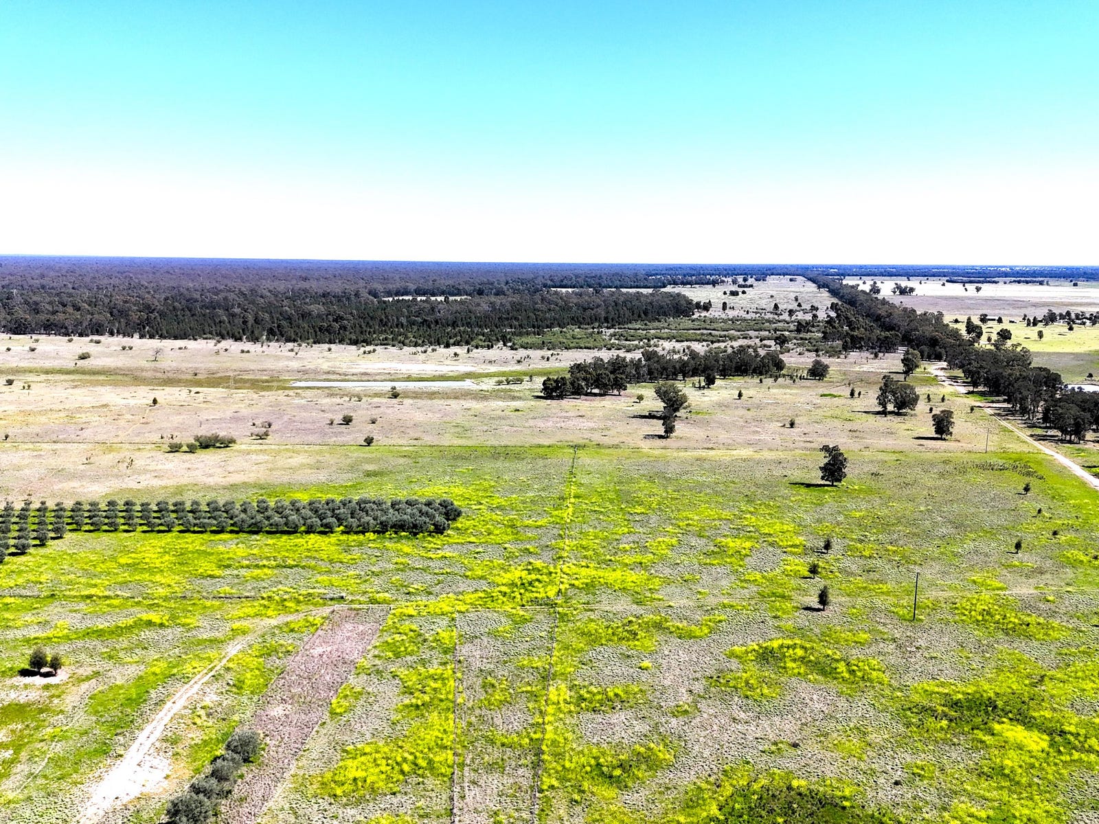 Business For Sale: Bohena Creek, NSW 2390