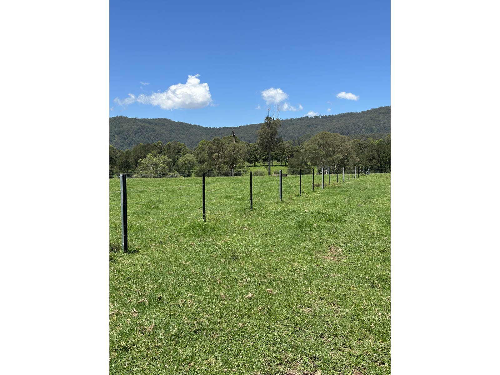 Business For Sale: Old Bonalbo, NSW 2469