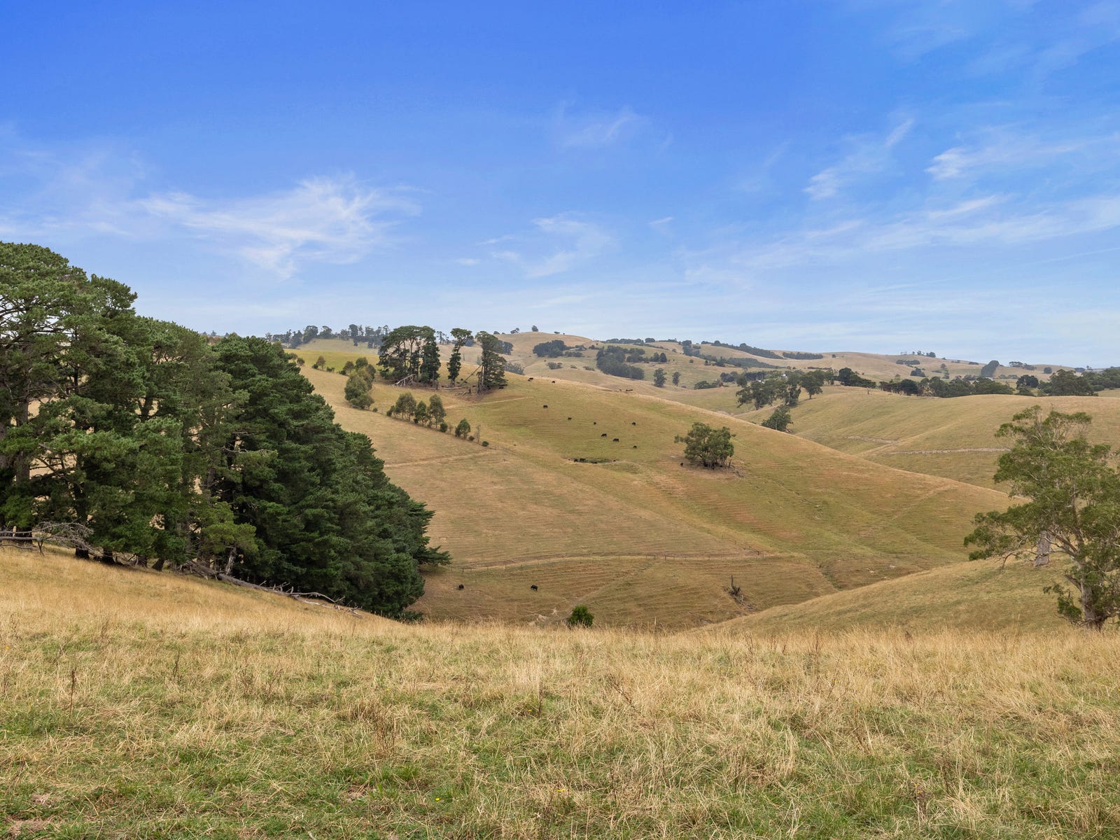 Business For Sale: Dumbalk North, Vic 3956