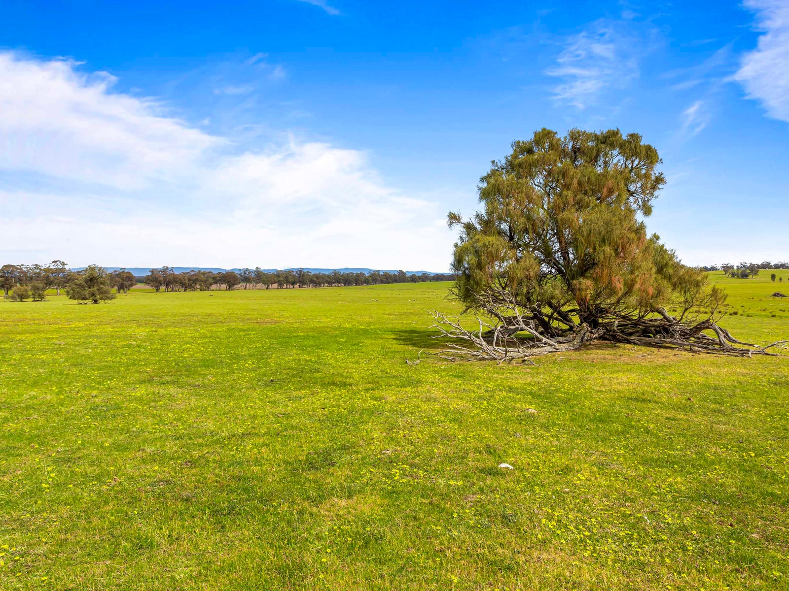 Business For Sale: Campbells Bridge, Vic 3387