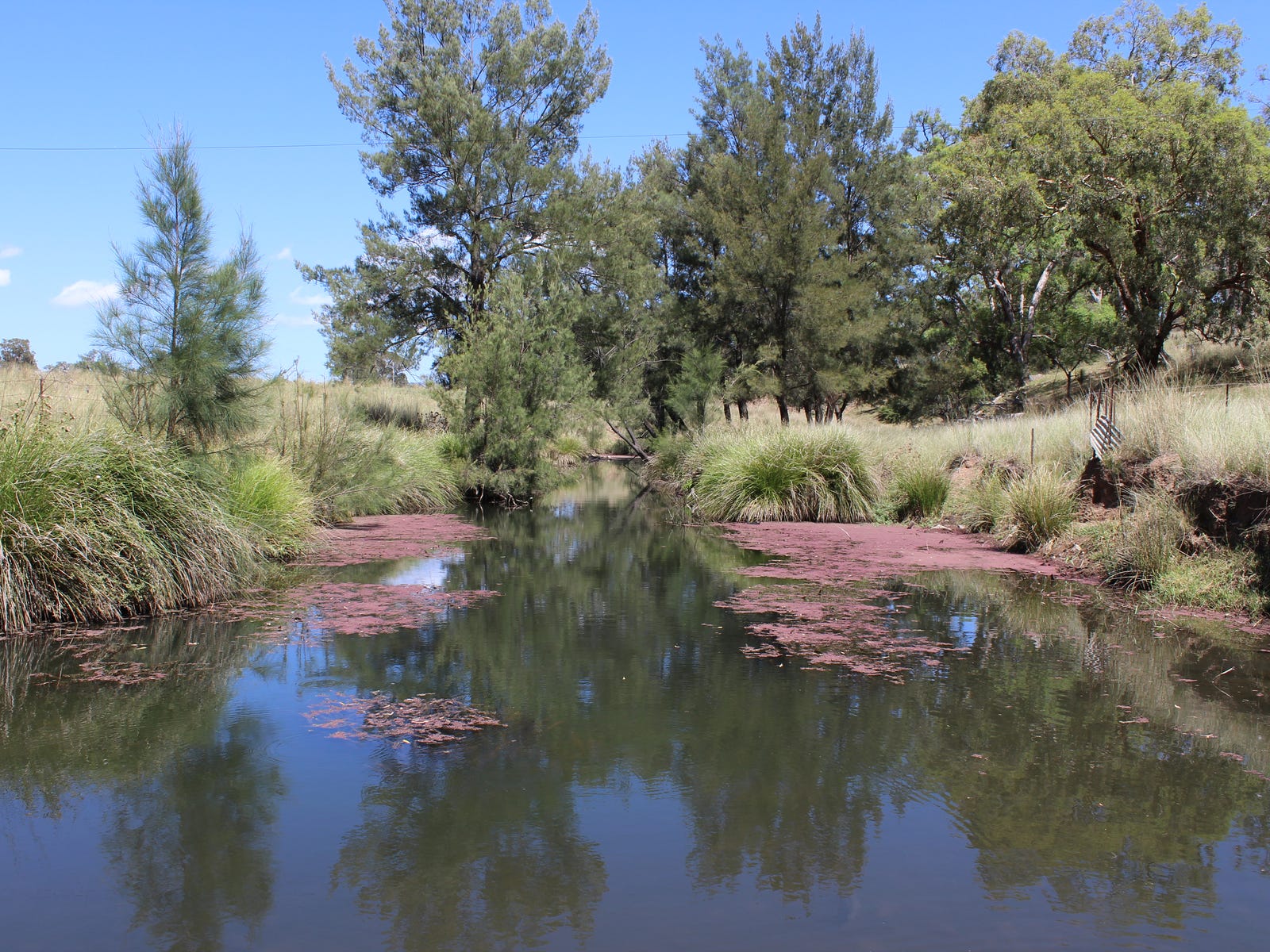 Farm For Sale in Narrabri, NSW 2390 "high Valley" 243 Back Creek Road