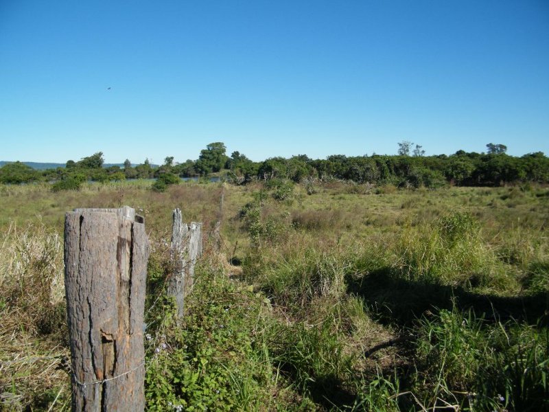 Farm For Sale in North Woodburn, NSW 2471 3122 Woodburnwyrallah Road