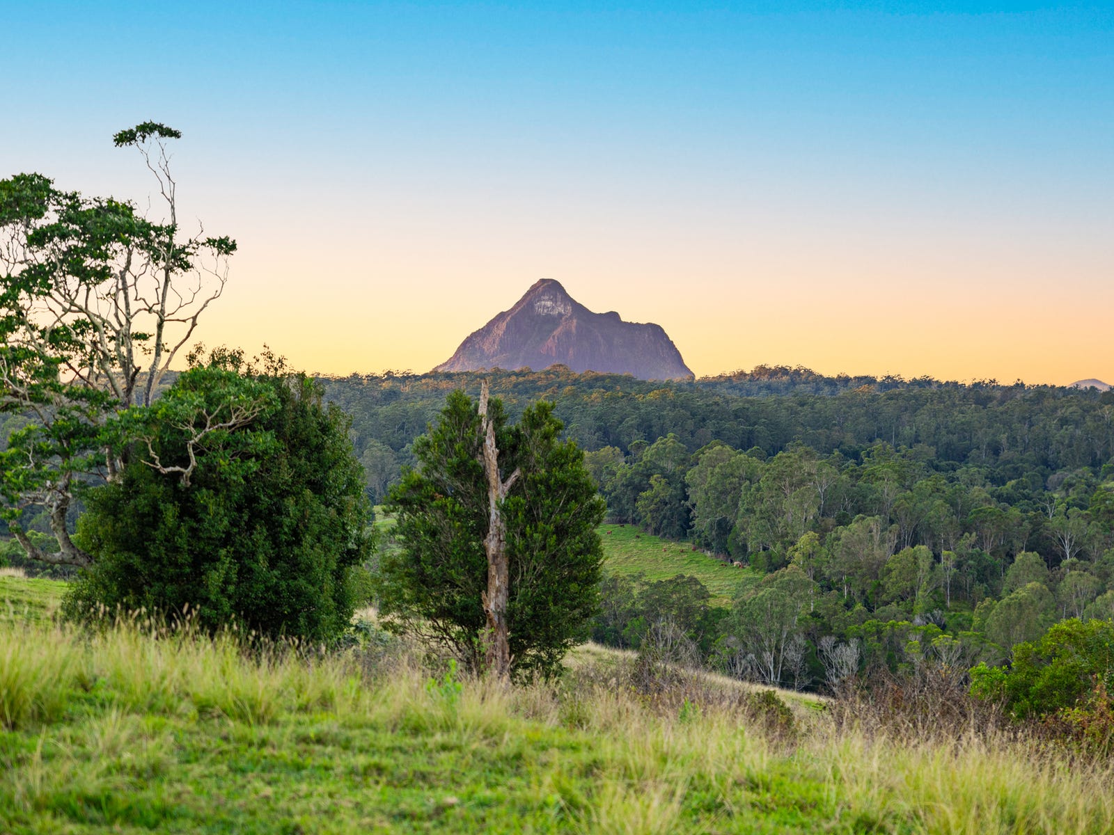 Business For Sale: Peachester, Qld 4519