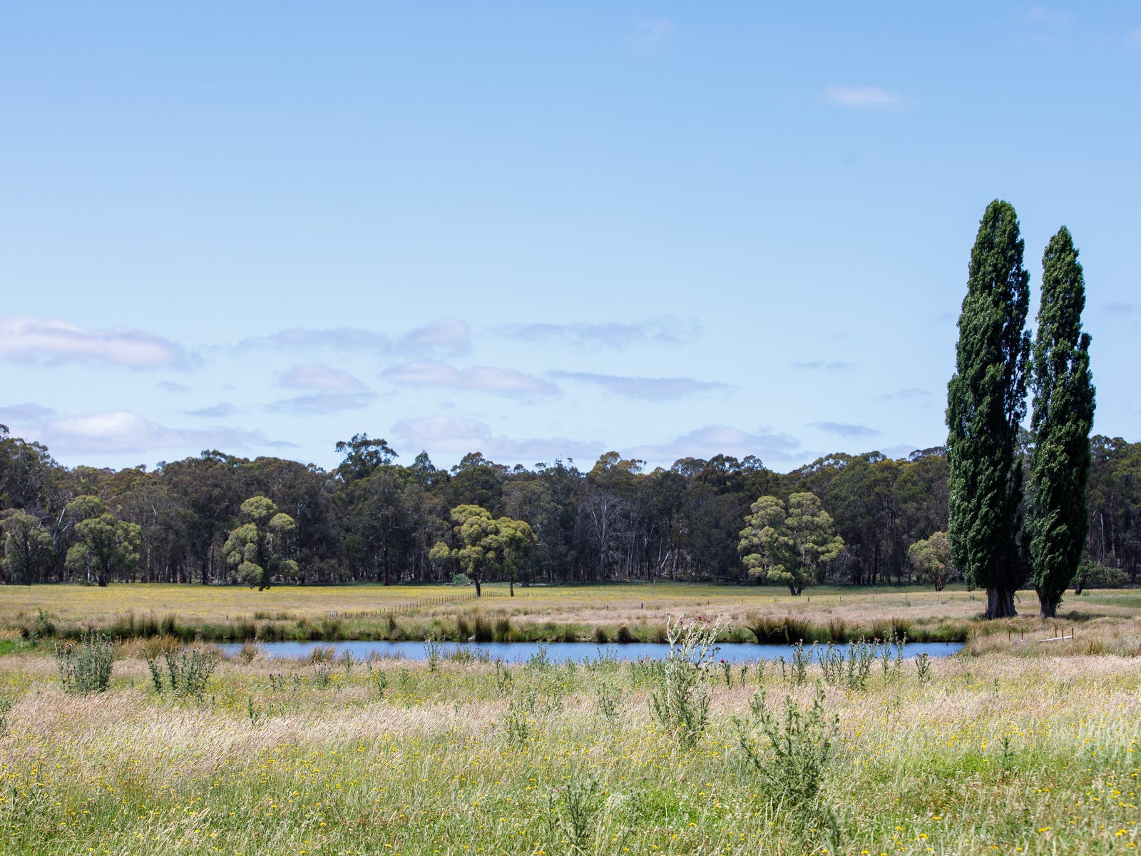 Business For Sale: Chatham Valley, NSW 2787