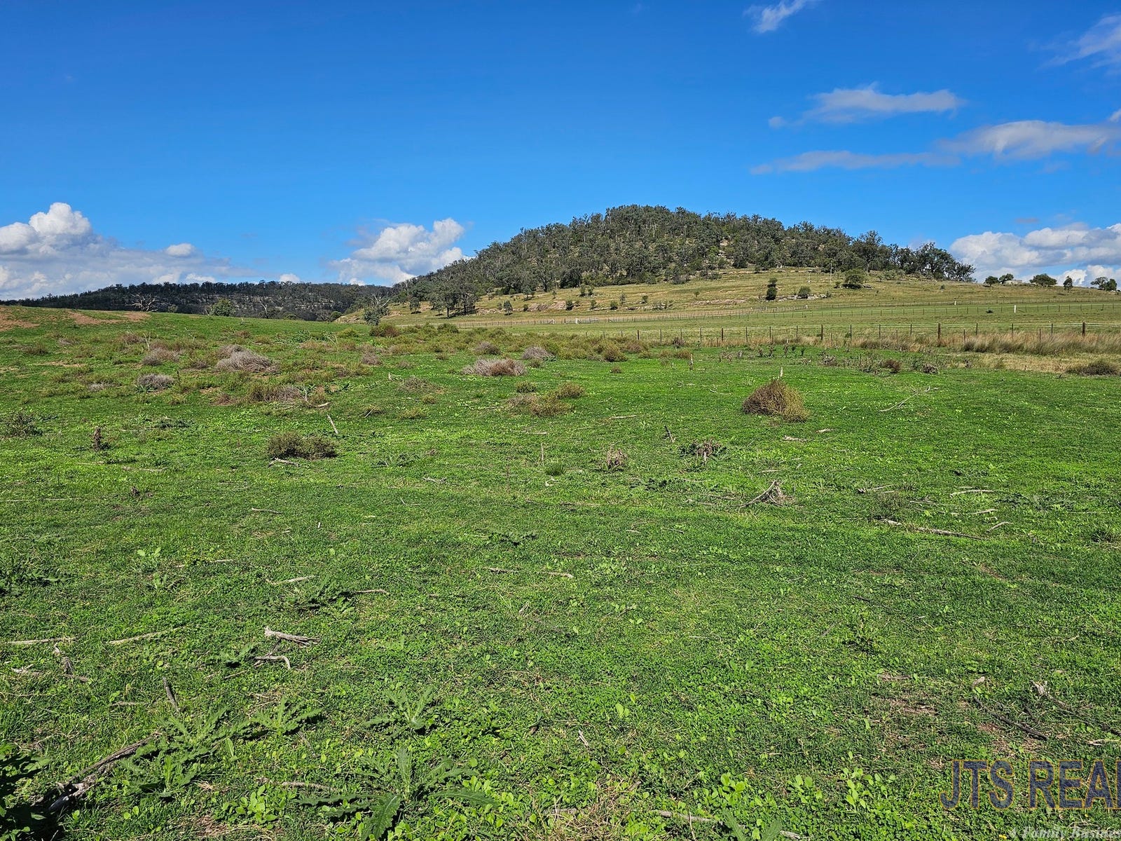 Business For Sale: Wybong, NSW 2333