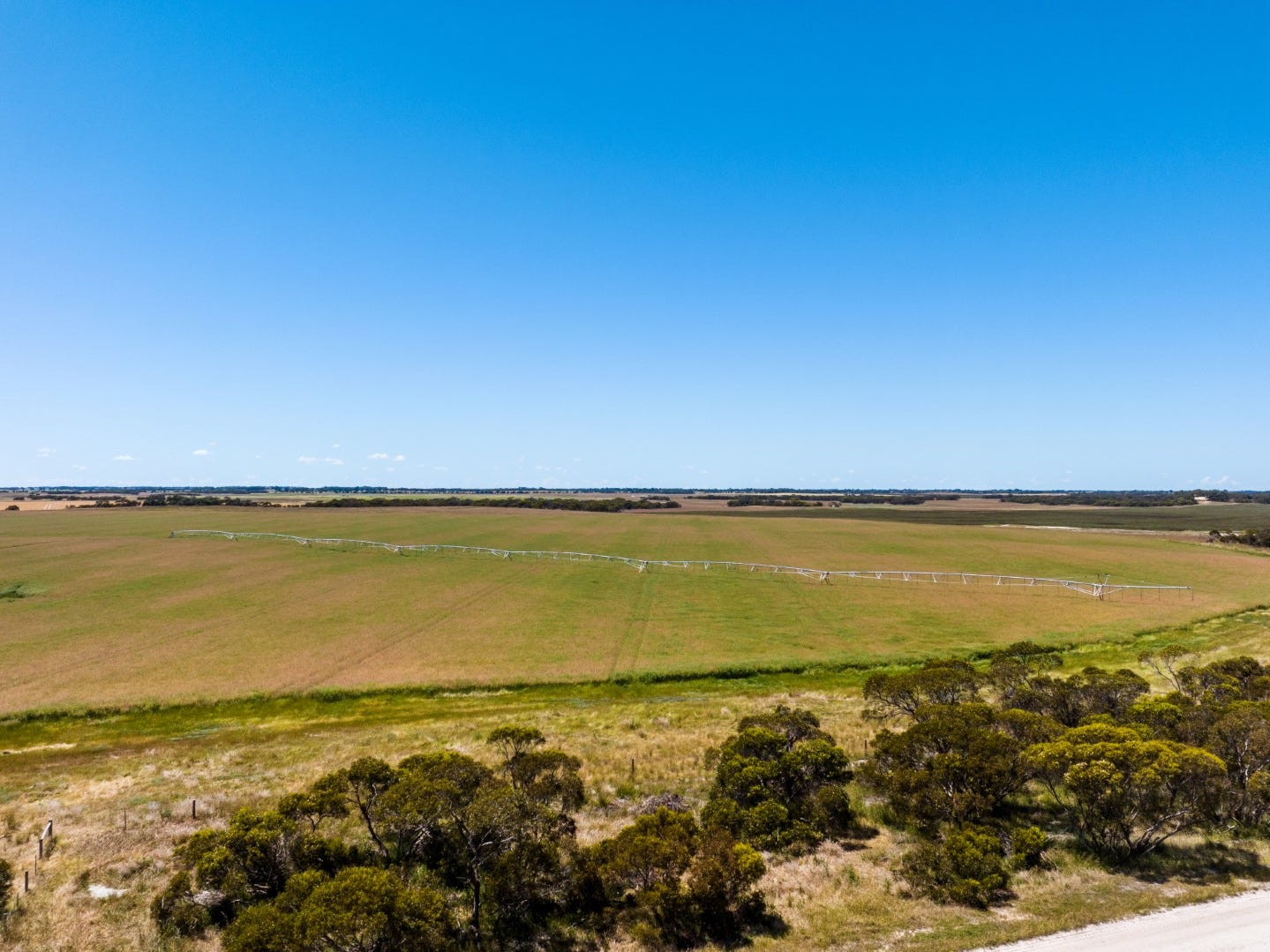 Farm For Sale in Mccallum, SA 5267 339 Kynoch Road