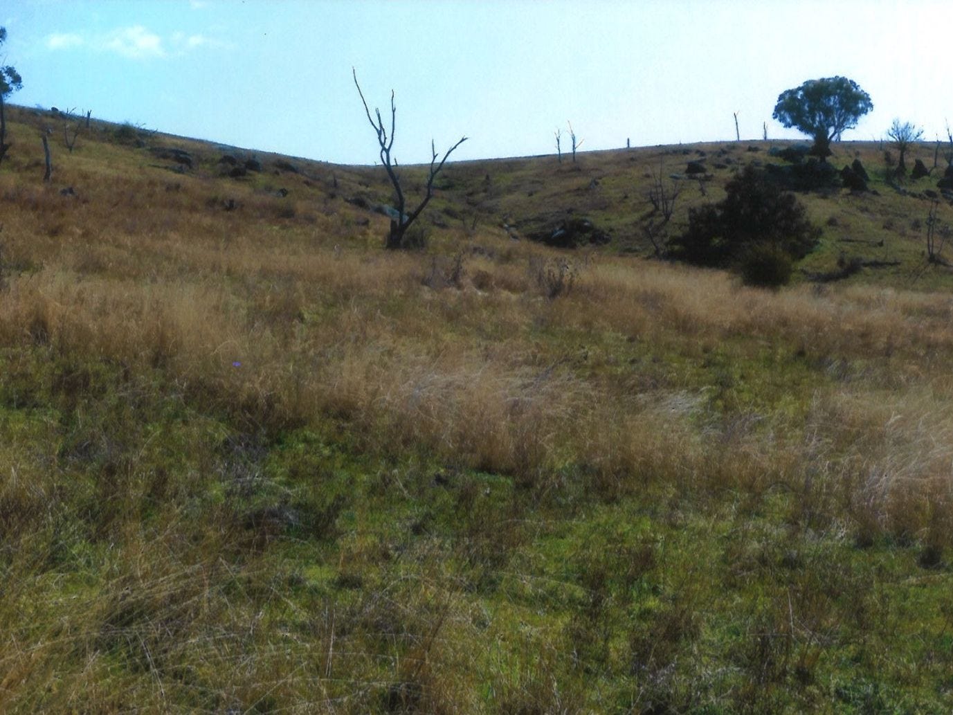 Business For Sale: Hovells Creek, NSW 2794