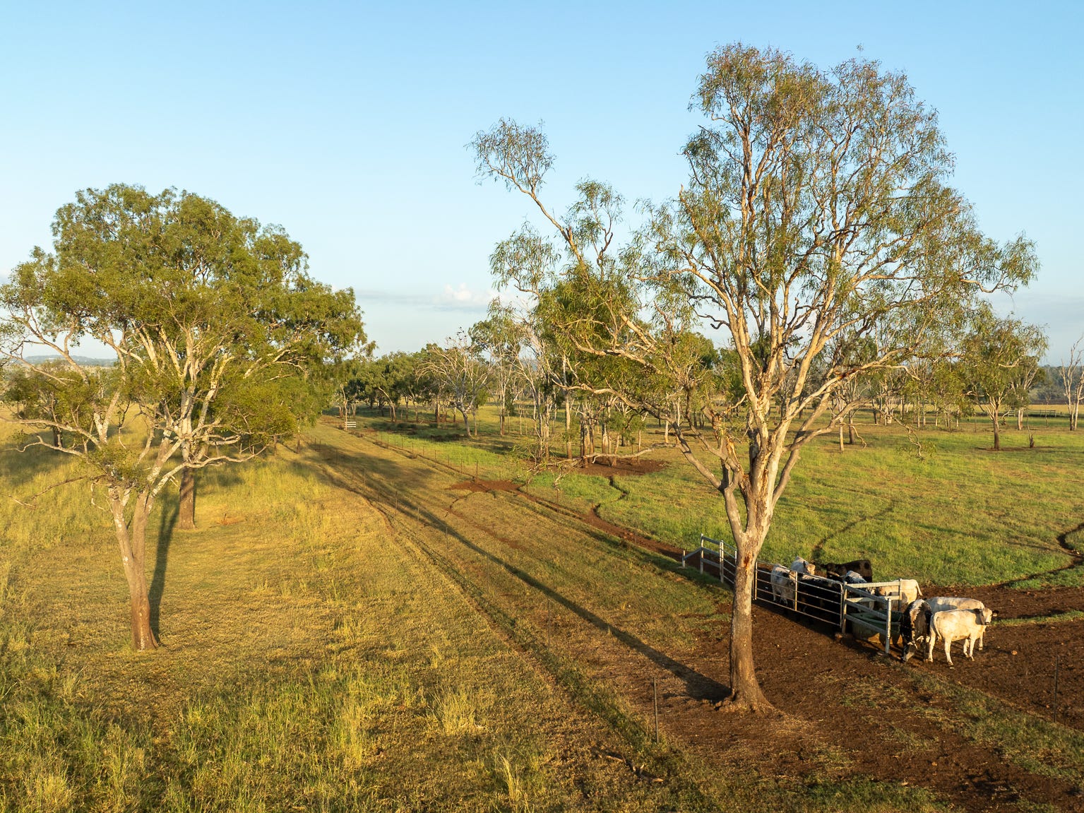 Farm For Sale in Westbrook, Qld 4350 'dorroughby' 93 Mcgowan Road