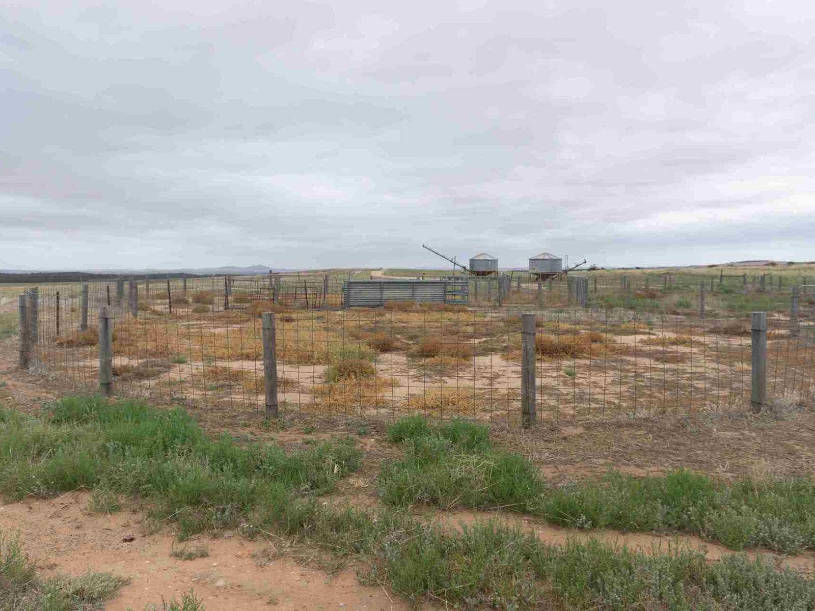 Business For Sale: Yalanda, SA 5641