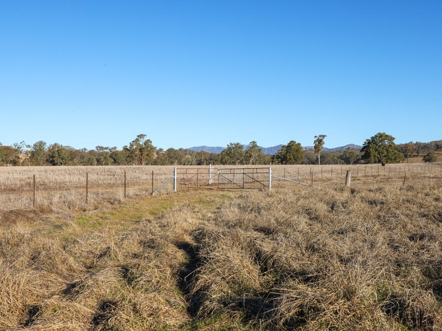 Farm For Sale in Tamworth, NSW 2340 Tarwarri Lindsay's Gap Road