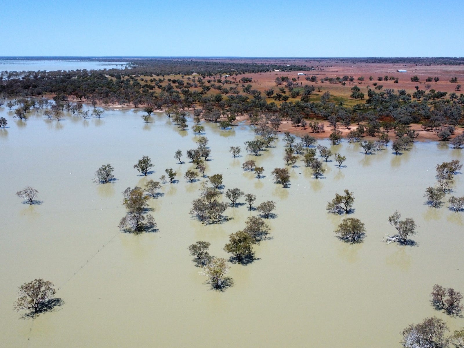 Farm For Sale in Wilcannia, NSW 2836 * Volo Station