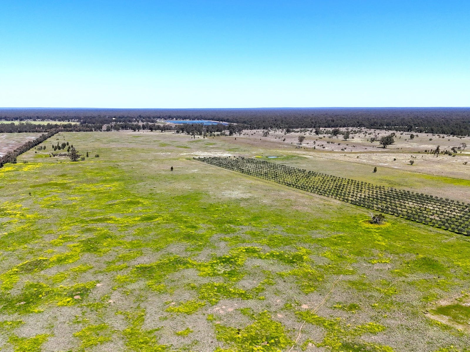 Business For Sale: Bohena Creek, NSW 2390