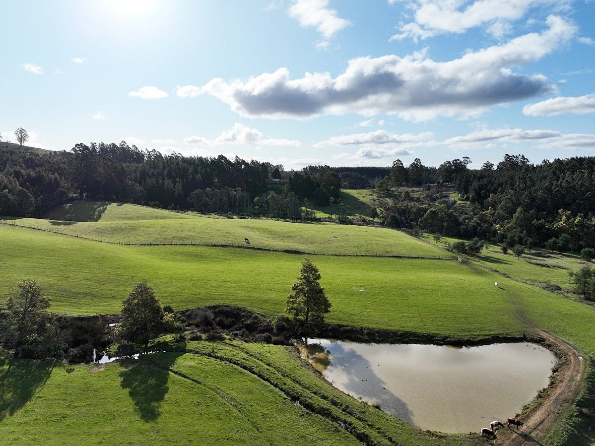 Business For Sale: Roland, Tas 7306