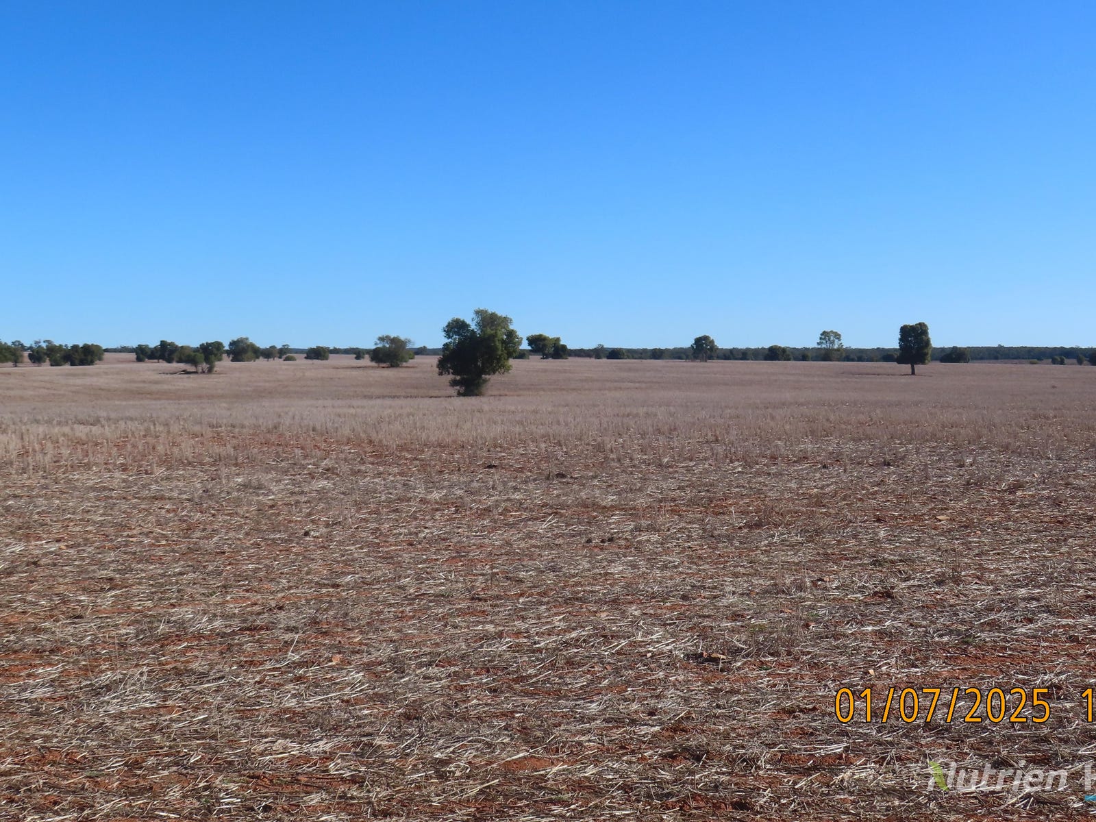 Business For Sale: Hermidale, NSW 2831