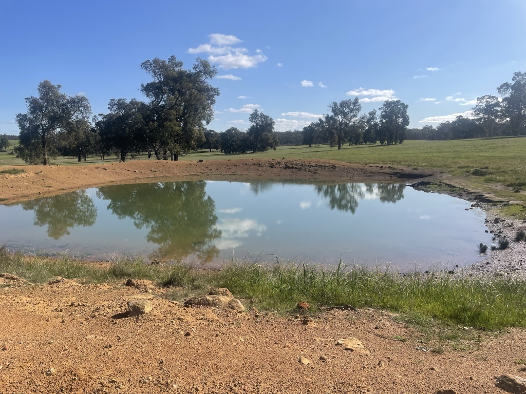 Farm For Sale in York, WA 6302 Lot 15221 Helena Road