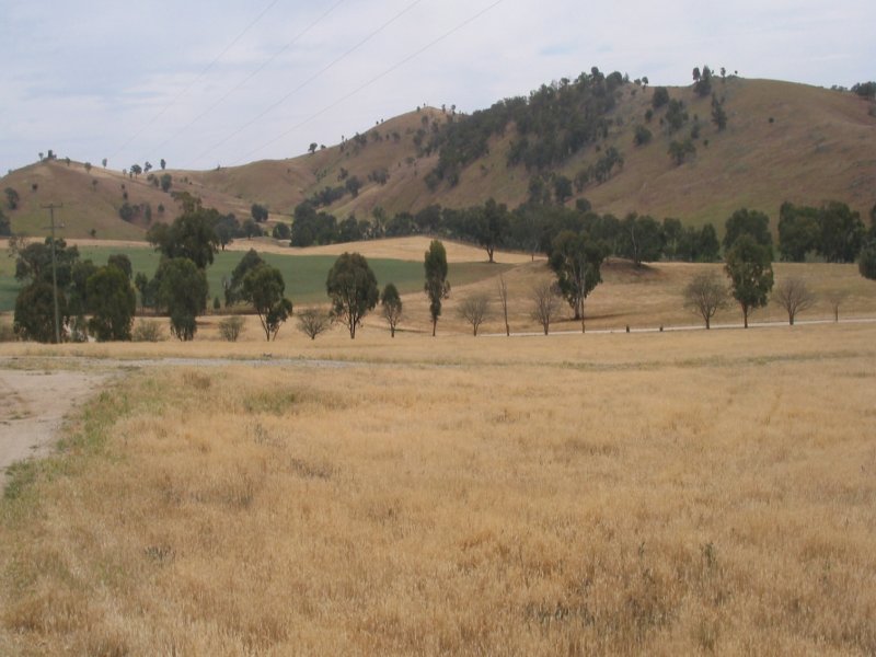 Farm For Sale in Cowra, NSW 2794 Box Rangekenyu Road Boorowa
