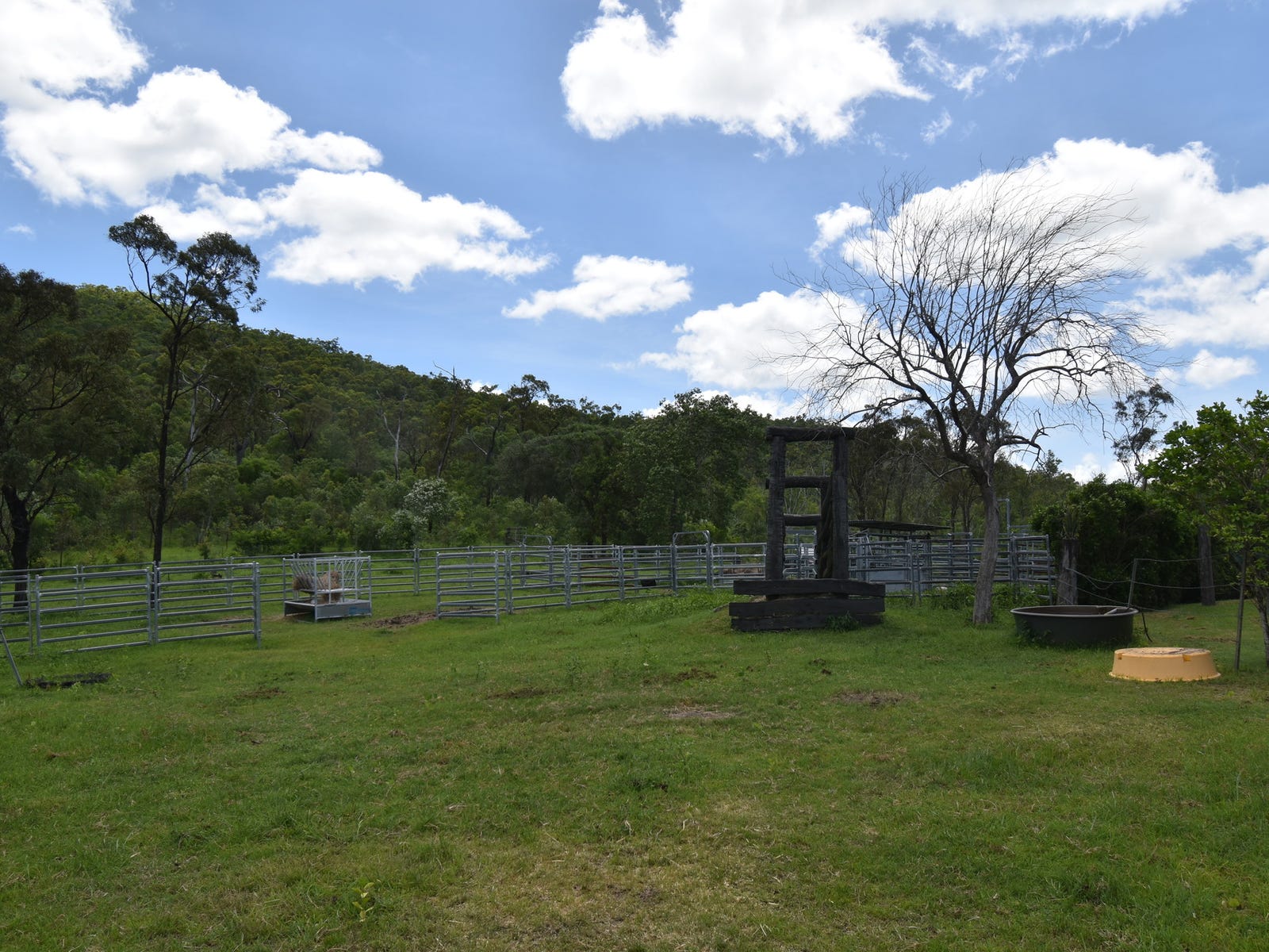 Farm For Sale in Proserpine, Qld 4800 | 1620 Gunyarra Road