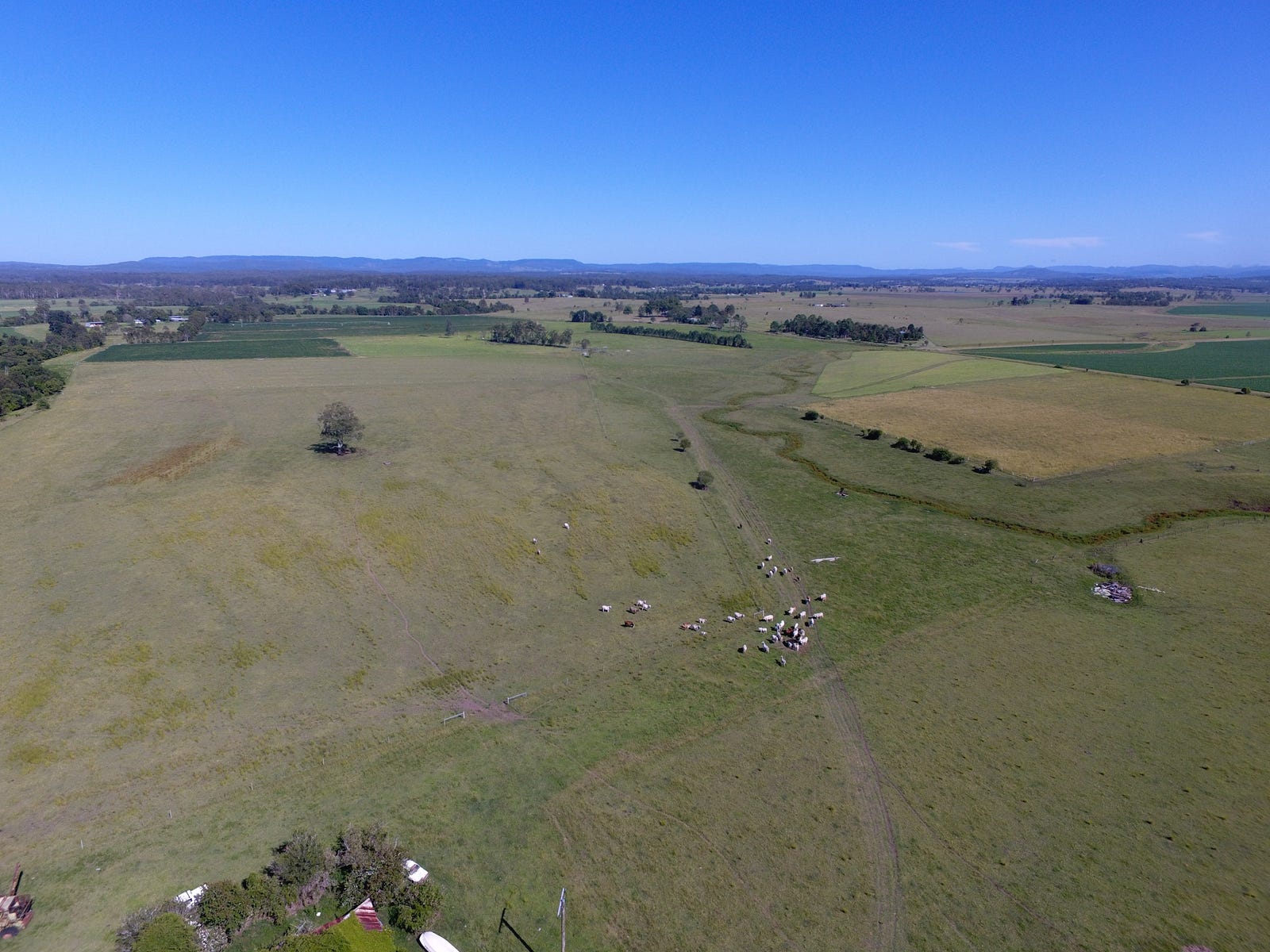 Business For Sale: Stratheden, NSW 2470