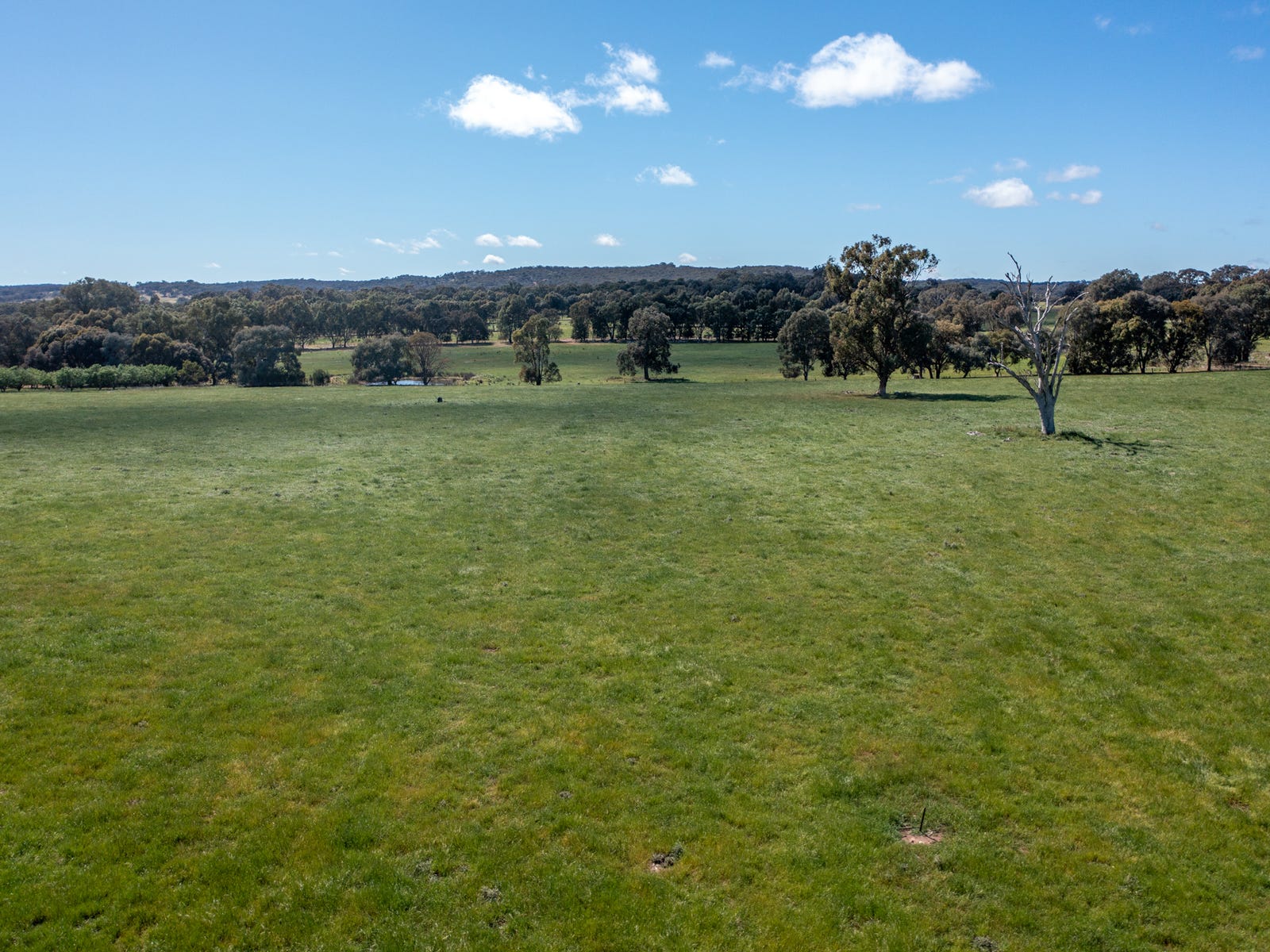 Business For Sale: Springhurst, Vic 3682