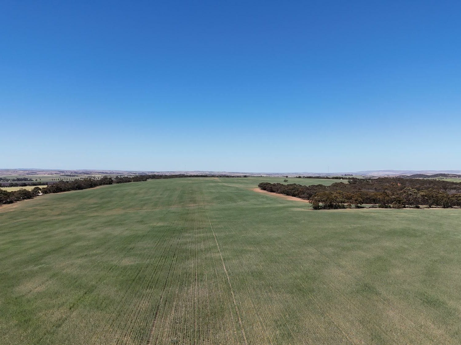 Business For Sale: Beetaloo Valley, SA 5523