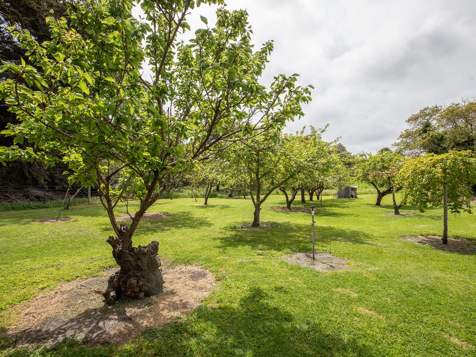 Business For Sale: Millicent, SA 5280
