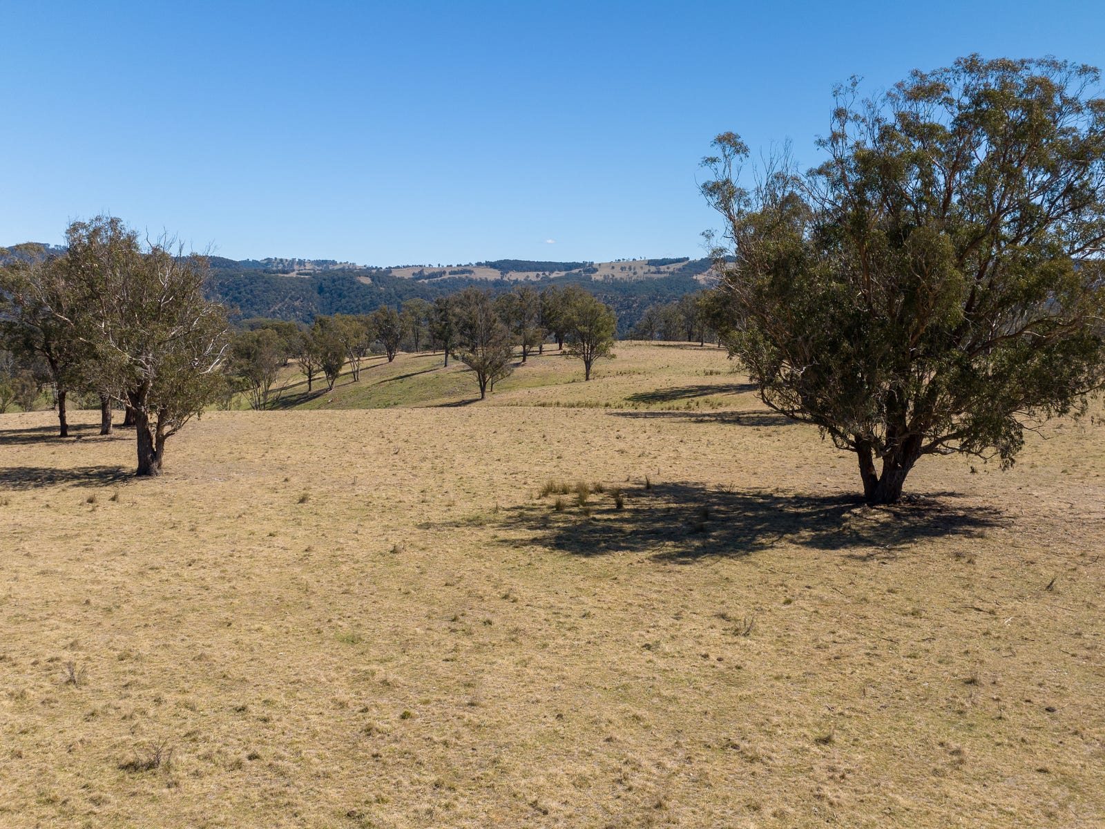 Farm For Sale in Yarrowitch, NSW 2354 599 Oaklands Road