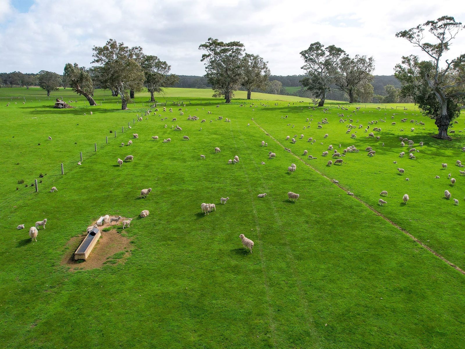 Business For Sale: Chetwynd, Vic 3312