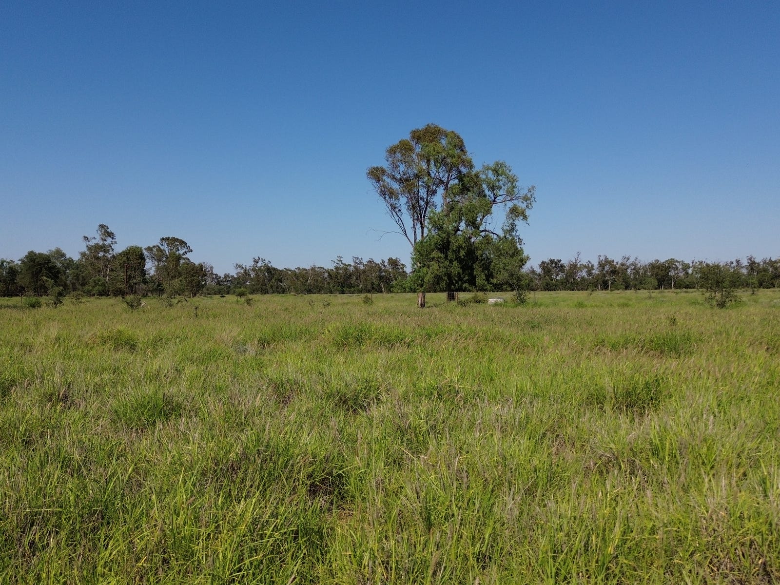 Business For Sale: Collarenebri, NSW 2833