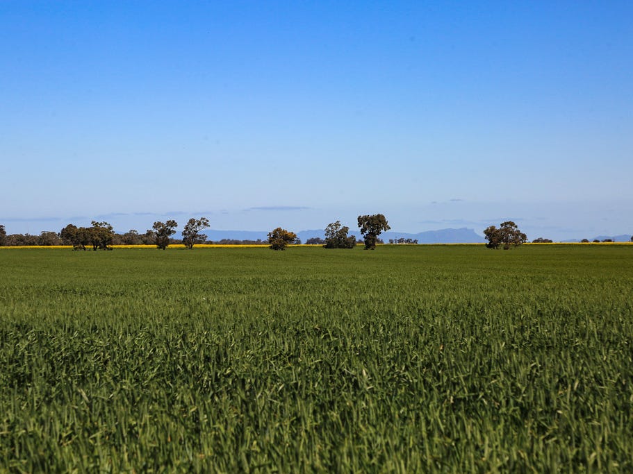Farm For Sale in Rupanyup, Vic 3388 4848 Stawellwarracknabeal Road