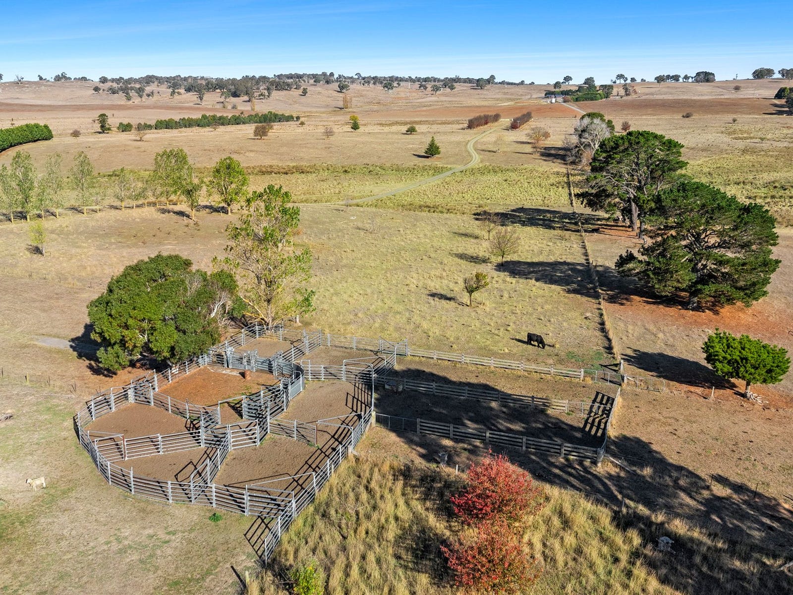 Business For Sale: Crookwell, NSW 2583