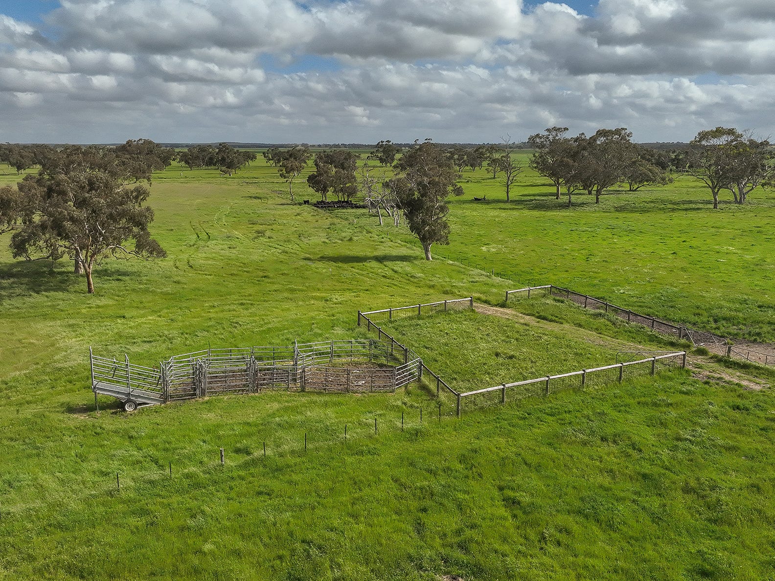Business For Sale: Lucindale, SA 5272