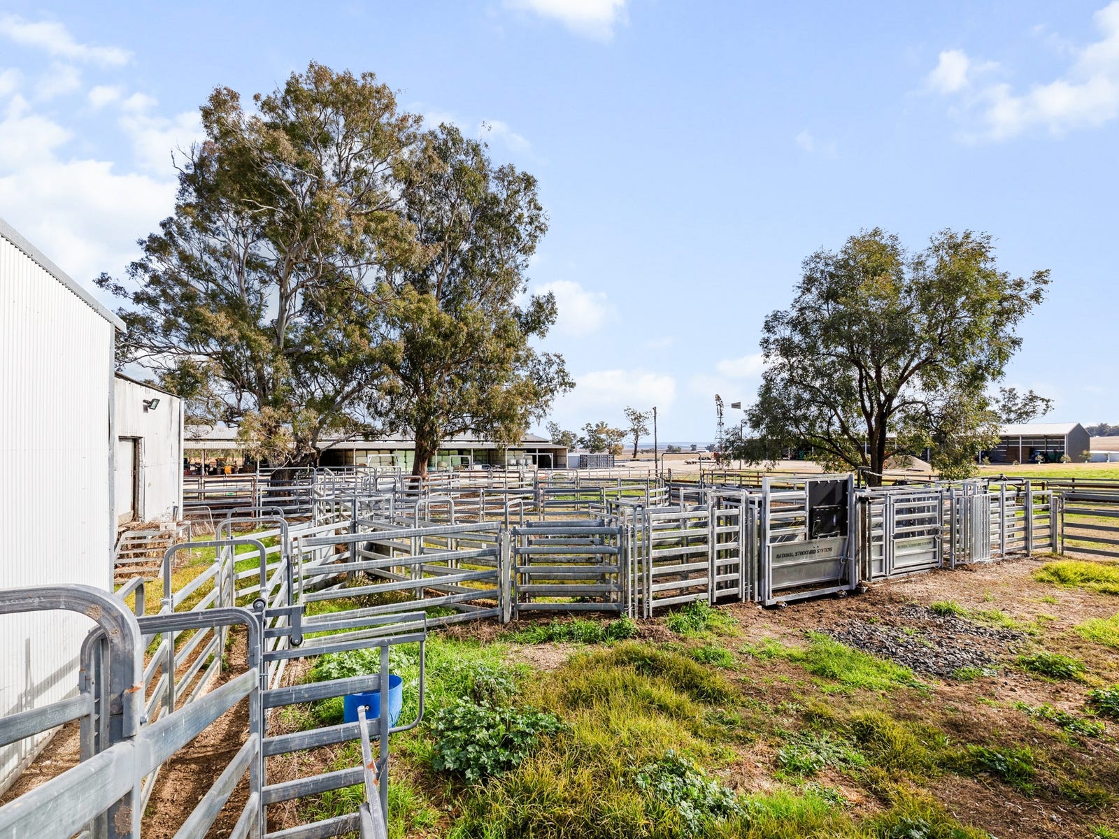 Business For Sale: Quirindi, NSW 2343