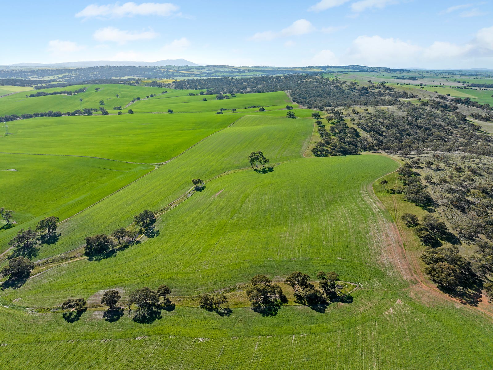 Business For Sale: Wirrabara, SA 5481