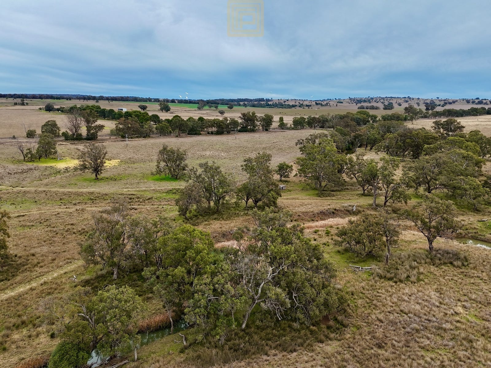 Business For Sale: Purlewaugh, NSW 2357