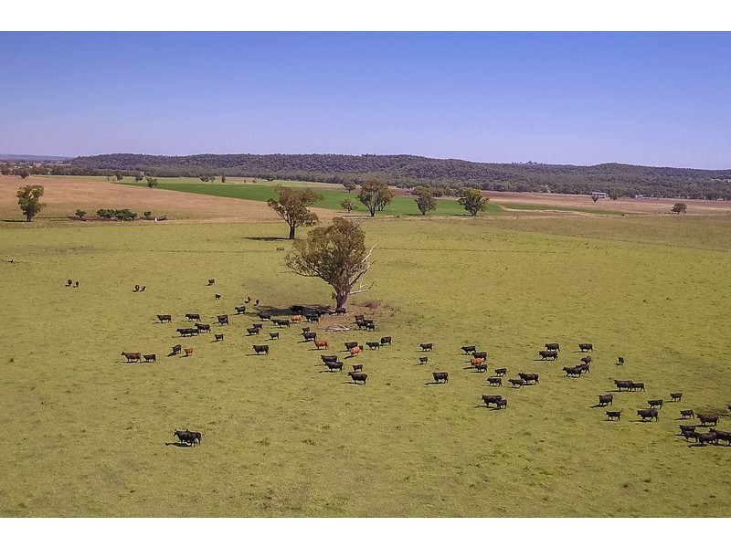 Business For Sale: Neilrex, NSW 2831