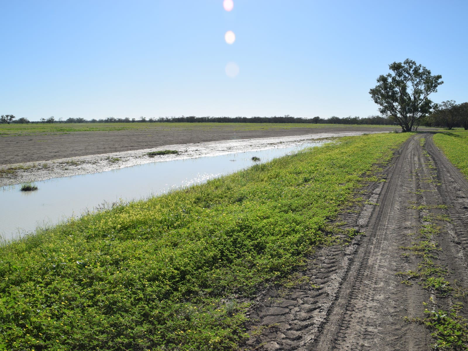 Business For Sale: Walgett, NSW 2832