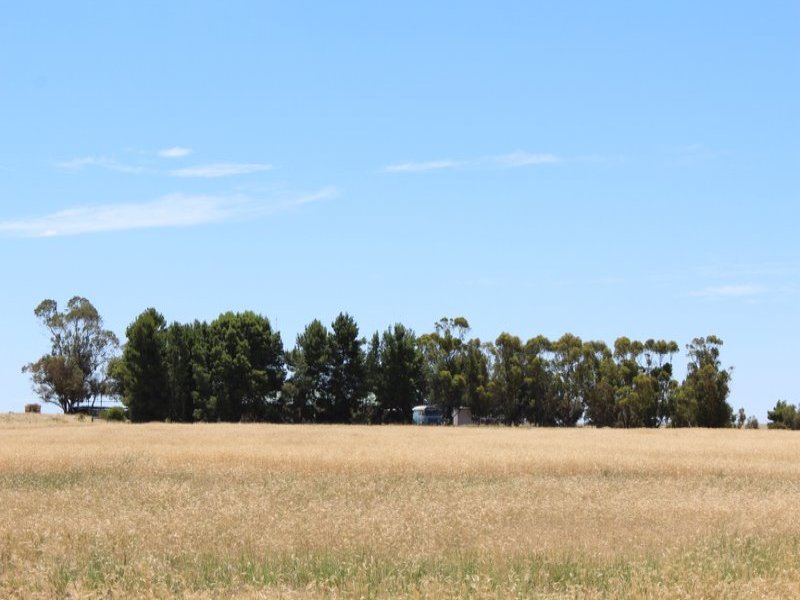 Business For Sale: Lameroo, SA 5302