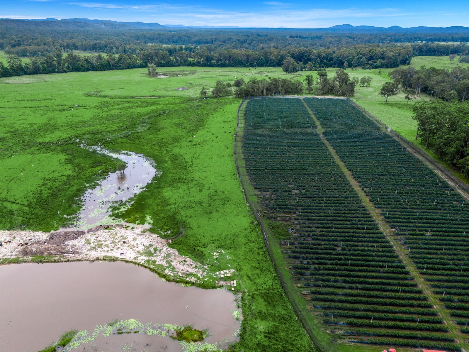 Business For Sale: Upper Corindi, NSW 2456