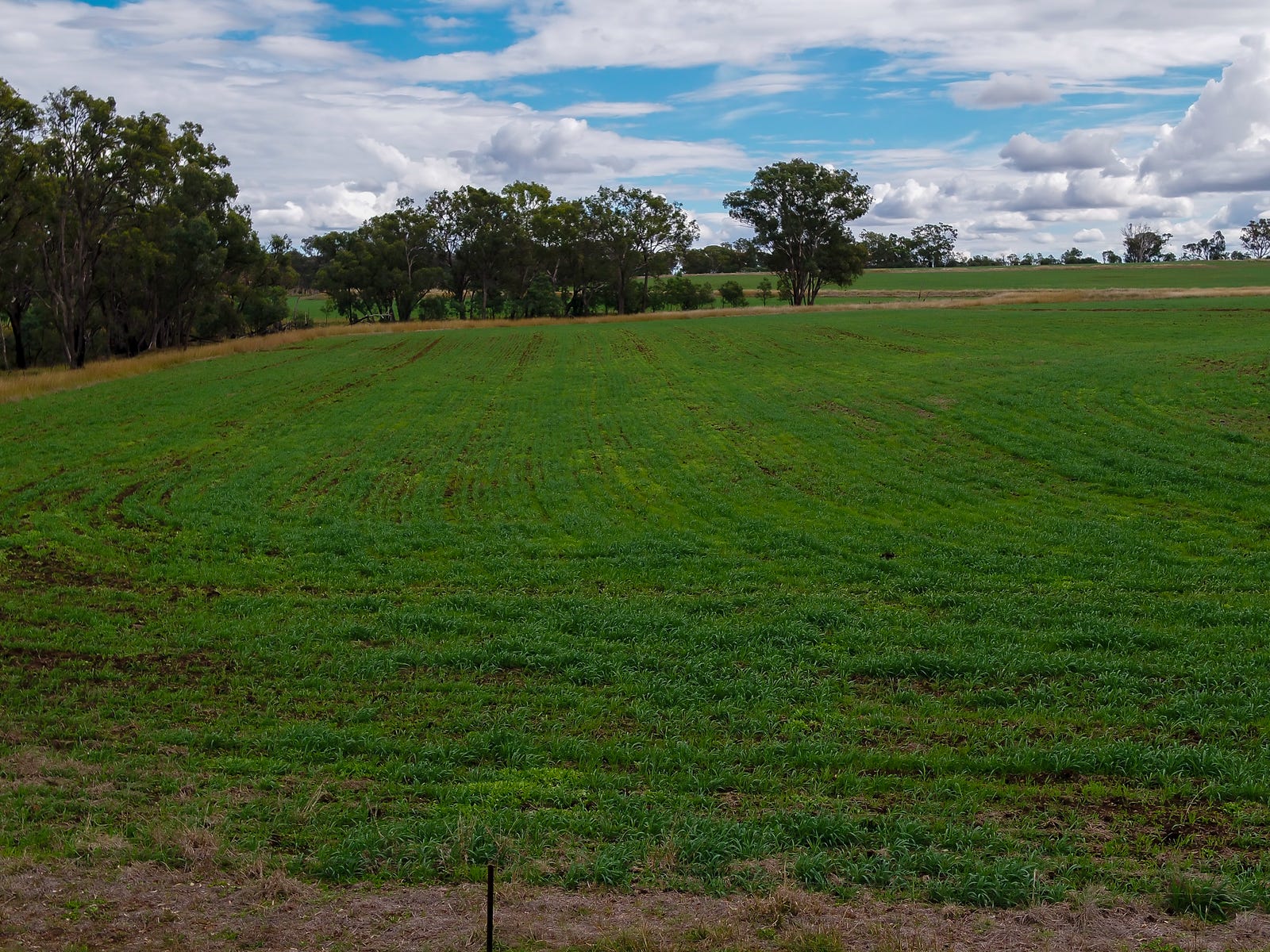 Business For Sale: Rob Roy, NSW 2360