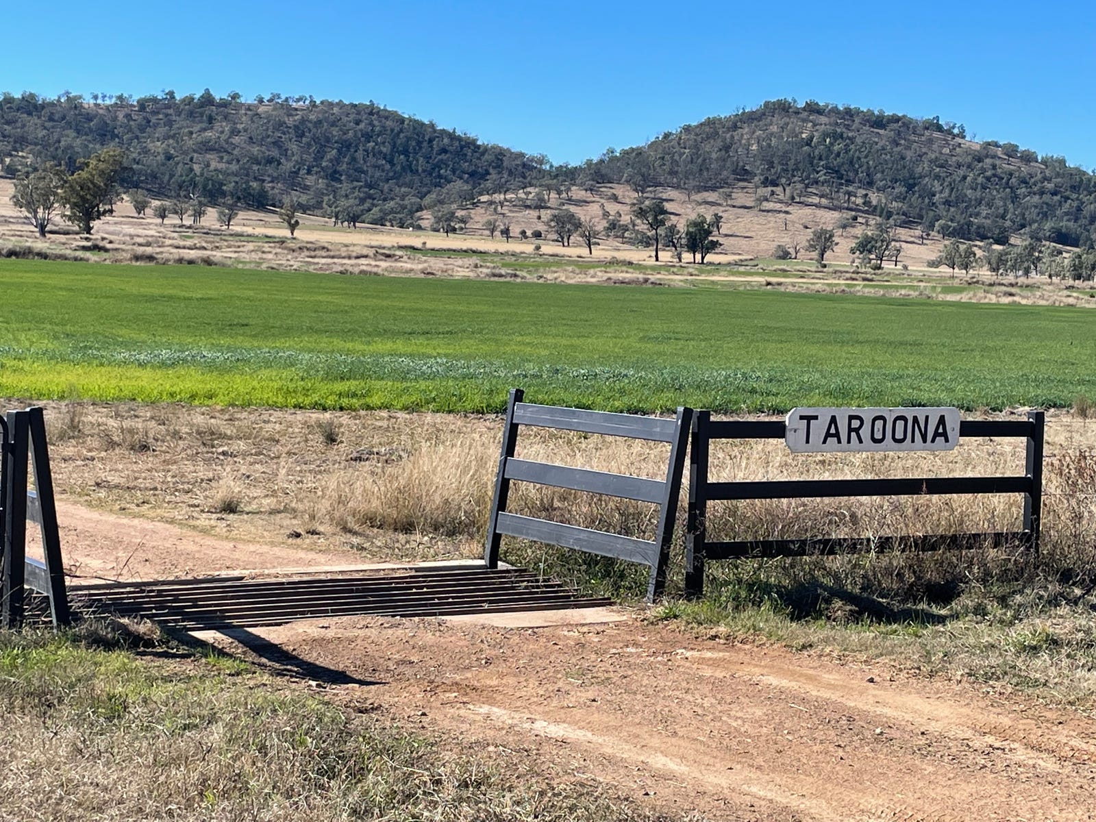 Farm For Sale in Texas, Qld 4385 "taroona"