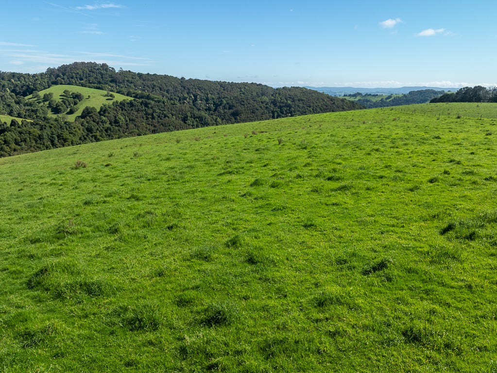 Business For Sale: Fernbrook, NSW 2453