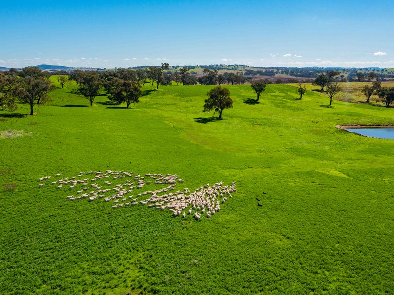 Farm For Sale in Cootamundra, NSW 2590