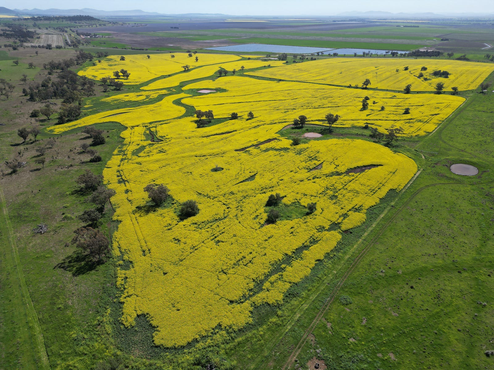 Business For Sale: Breeza, NSW 2381