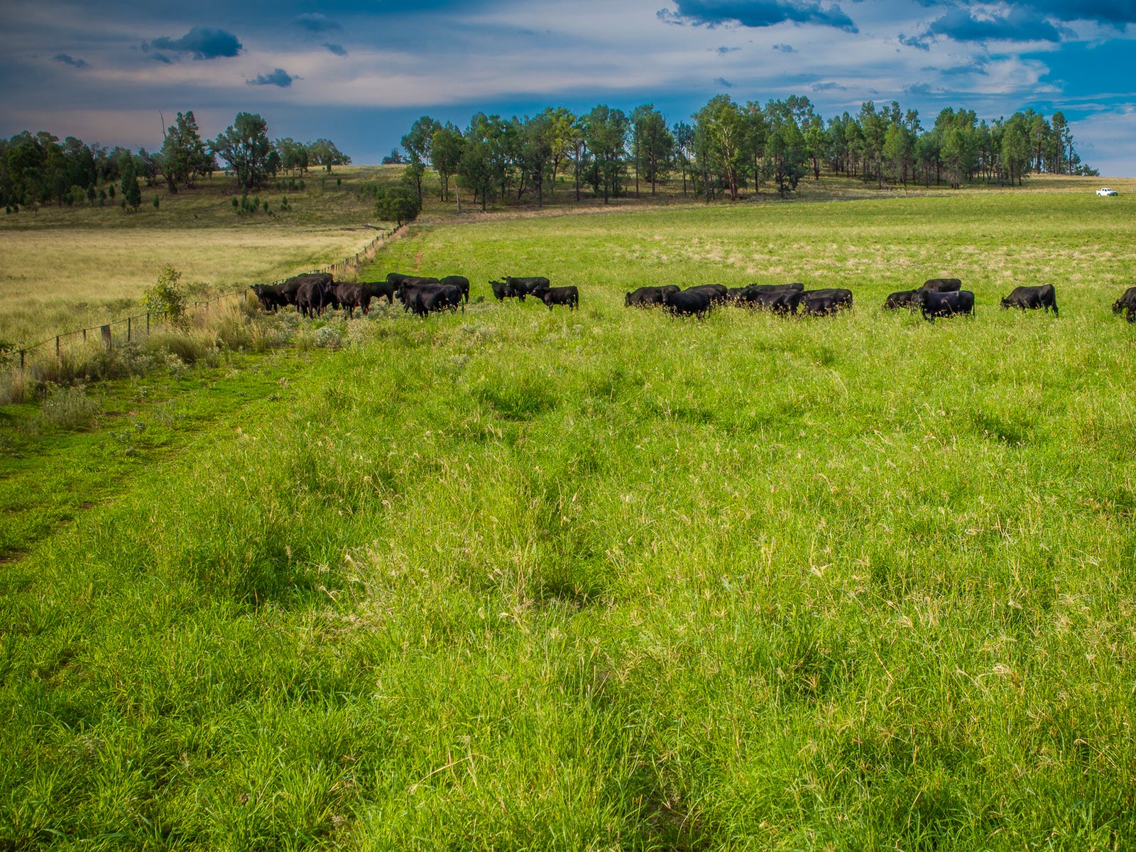 Business For Sale: Dubbo, NSW 2830