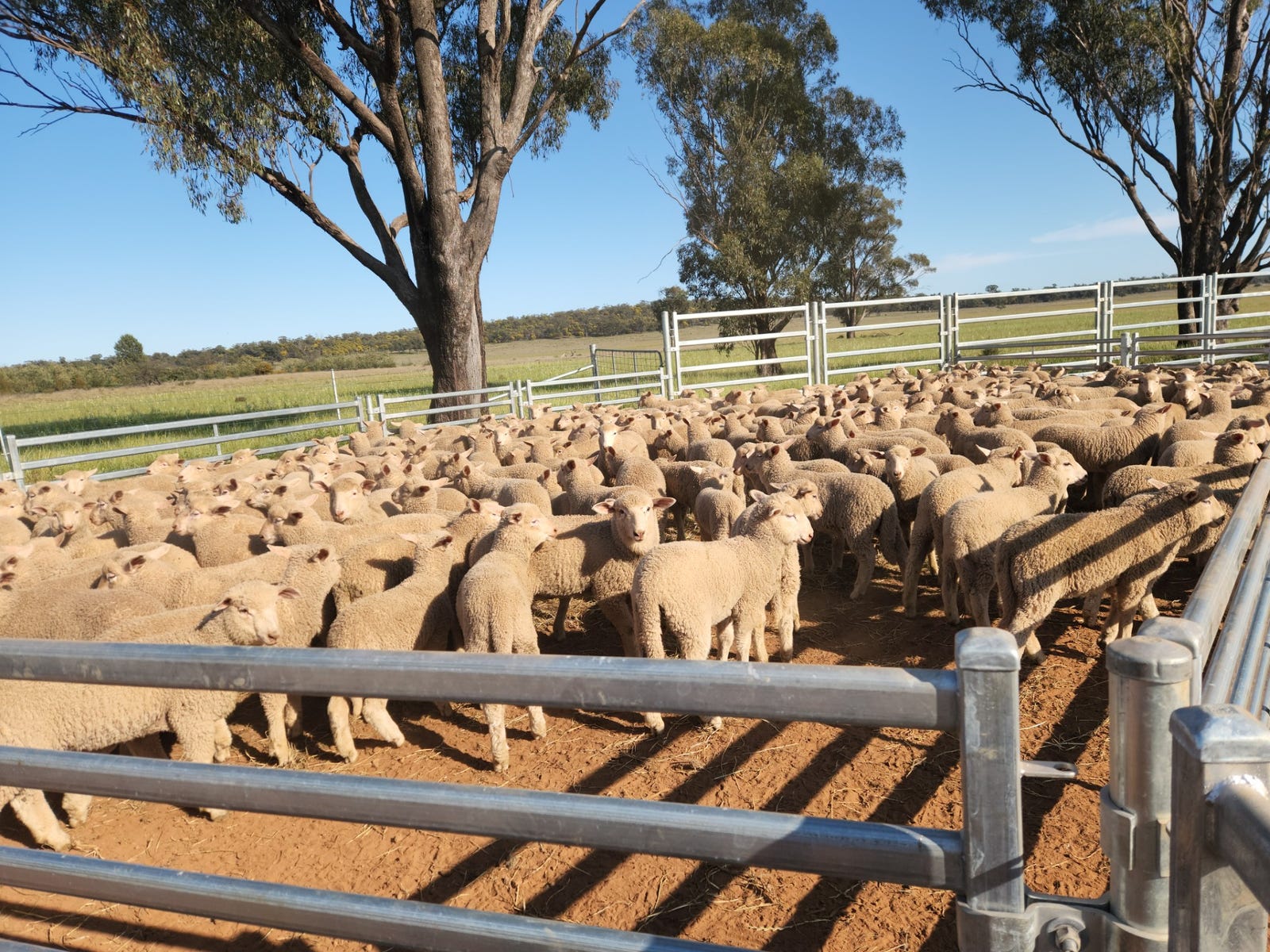 Business For Sale: Parkes, NSW 2870