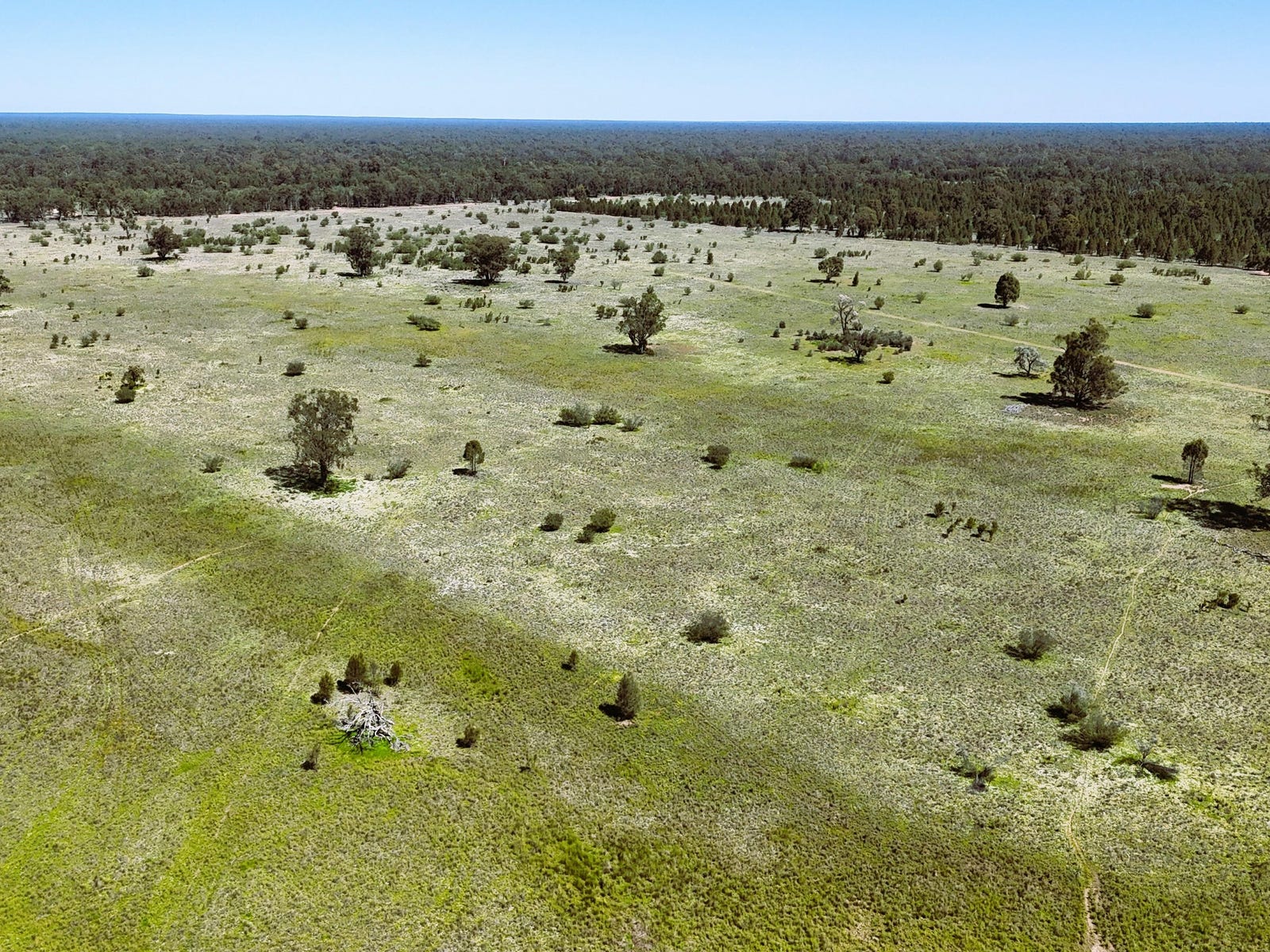 Business For Sale: Bohena Creek, NSW 2390