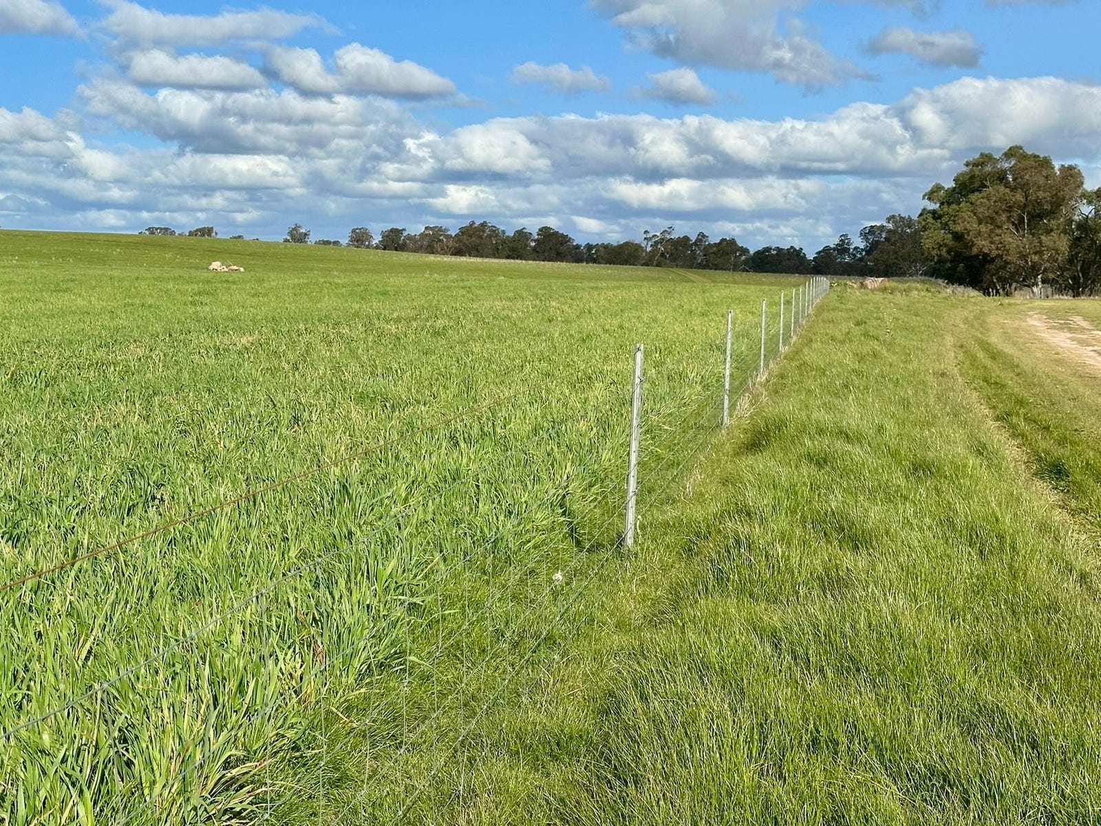 Business For Sale: Wallendbeen, NSW 2588