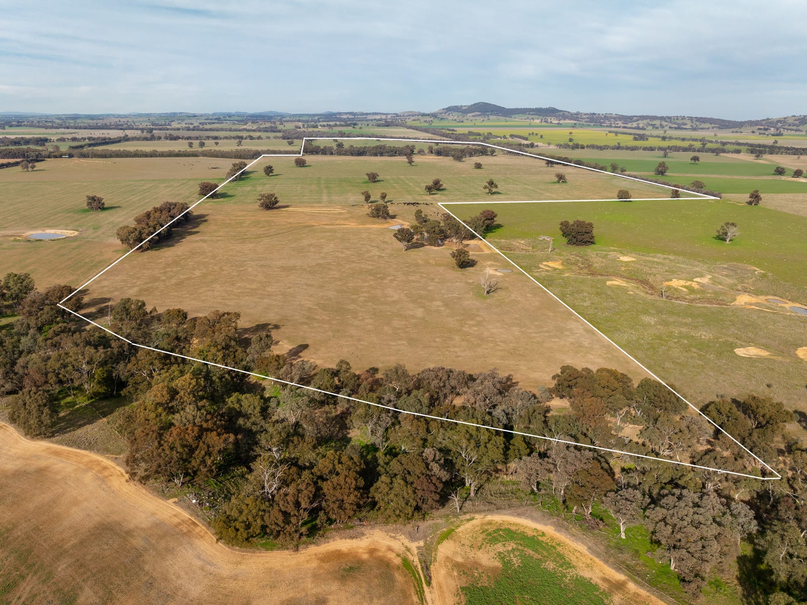 Farms For Sale in The Rock, NSW 2655